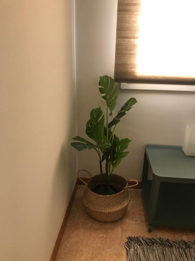 Apartamento Recien Reformado Con Vistas Al Rio Balaguer Exterior photo